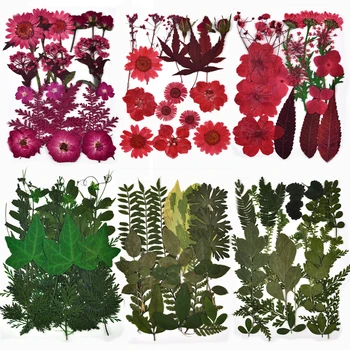 1 Torba Kurutulmuş Çiçek Kuru Bitkiler Mum Epoksi Reçine Kolye Kolye Takı Yapımı El Sanatları DIY silikon kalıp Aksesuarları