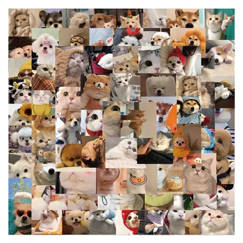 10/30/50/100 adet Komik Kedi Köpek MEME Hayvanlar Etiketler Çıkartmaları DIY Dizüstü Dizüstü Telefon Su Geçirmez Graffiti Kawaii Sticker Çocuk Oyuncak