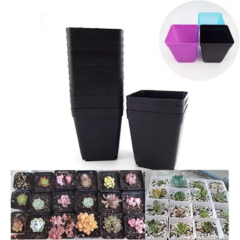 20/50 adet/grup PE Plastik Siyah Renk Çiçek Saksıları Bahçe Yetiştiricilerinin Yaratıcı Küçük Kare Etli bitkiler sebze