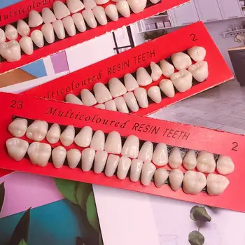 28 Adet / takım Evrensel Diş Modeli Dayanıklı Protez Diş Malzemesi Diş model beyin Özel Diş Diş Malzemesi