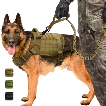 Askeri Taktik Köpek Koşum Çalışma Köpek Yelek Naylon Bungee Tasma Kurşun Eğitim Koşu Orta Büyük Köpekler İçin Alman Çoban