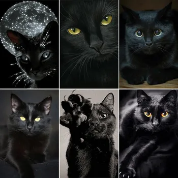Boyama Dönemi 11 / 14CT Nakış Boyama Siyah Kedi Hayvan Çapraz dikiş kitleri DMC Baskılı Tuval DIY El Yapımı Ev Dekorasyon