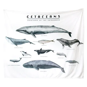 Ins İskandinav asılı bez Cetaceans en Infraorder Okyanus Balina Yüksek Piksel Sanat Dekoratif Halılar duvar asılı dekorlar Hediye