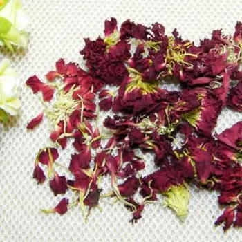 Kurutulmuş doğal çiçekler karanfil Yaprakları Aromaterapi Mum Epoksi Reçine Kolye Kolye Takı Yapımı El Sanatları DIY Aksesuarları