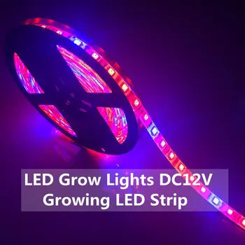 LED Bitki büyütme lambaları 5050 LED Şerit 5m DC12V Kırmızı Mavi 4:1,5:1 topraksız sera Bitki Yetiştirme Su Geçirmez Büyüme Işığı