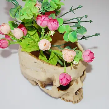 Reçine İnsan Kafatası Modeli Saksı Parlayan meyve tabağı Saklama Kabı Saksı Ekici Kafatası Pot Ev Dekor El Sanatları