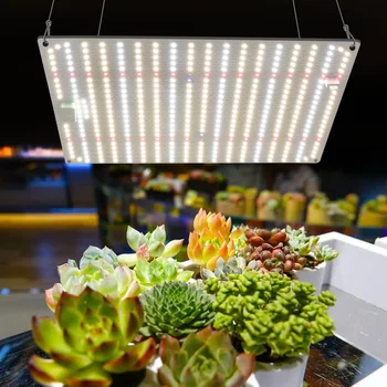 Samsung Büyümeye Yol Açtı LM281B tam spektrumlu led bitki yetiştirme lambaları 1000W led phytolamp Kapalı Bitkiler Çiçekler Sera Tohumları Büyümek Çadır