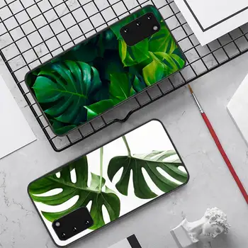 Yaprakları Monstera Yeşil Telefon Kılıfı için Samsung S10 21 20 9 8 artı lite S20 UlTRA 7edge